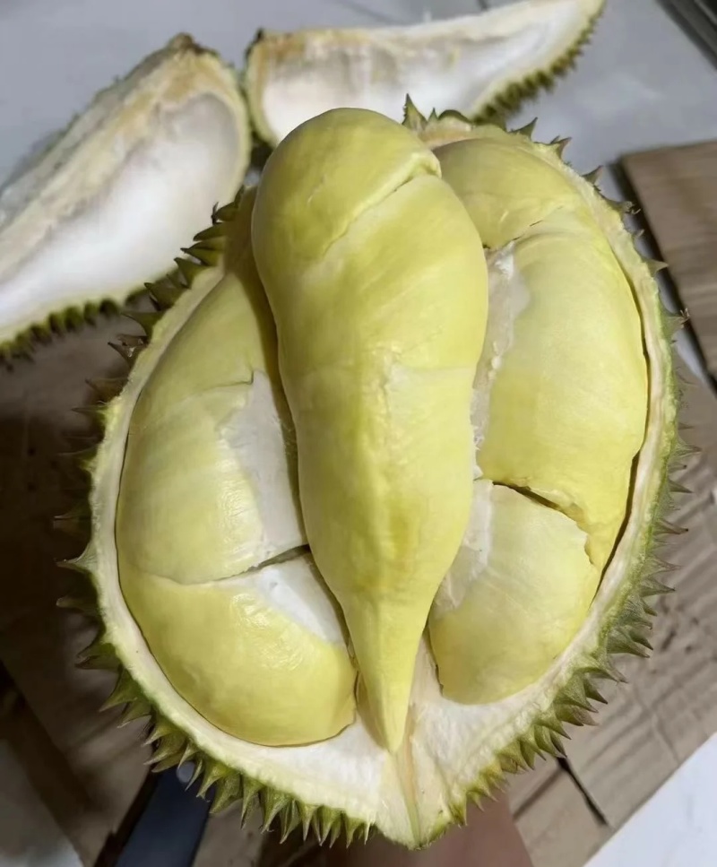 金枕榴莲一手批发价格