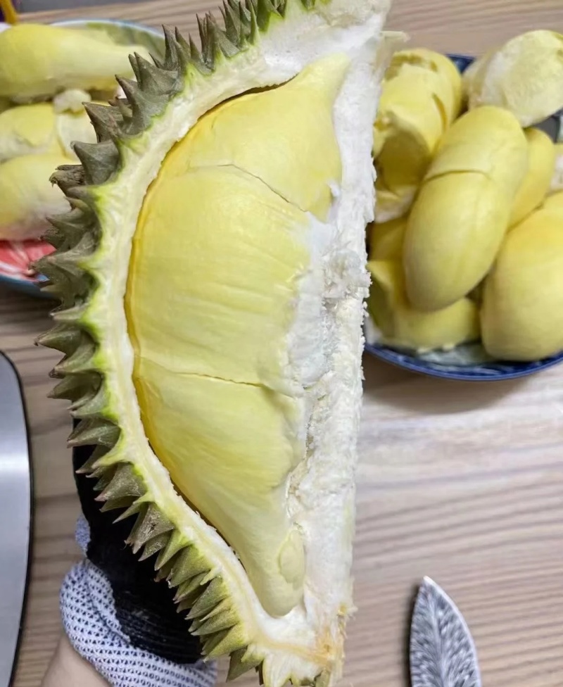 金枕榴莲一手批发价格