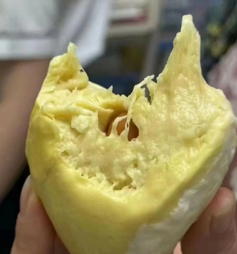 金枕榴莲一手批发价格