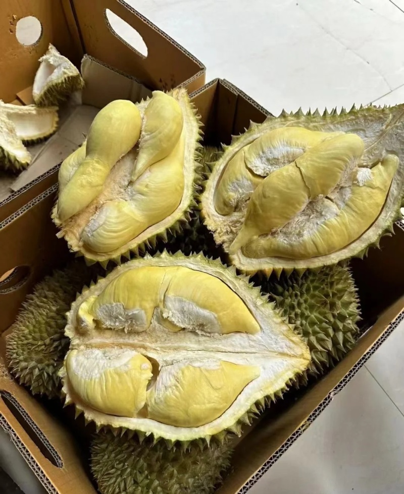 金枕榴莲一手批发价格
