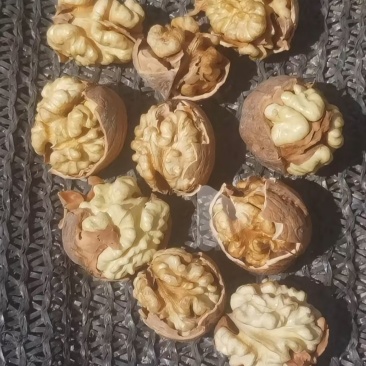 185核桃，核桃仁