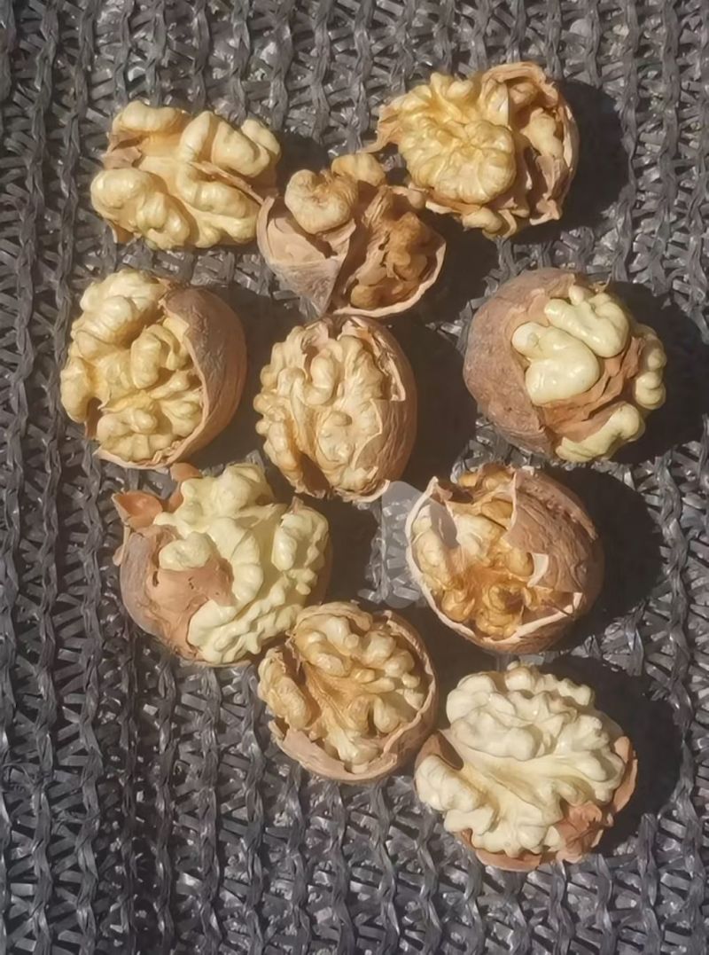 185核桃，核桃仁