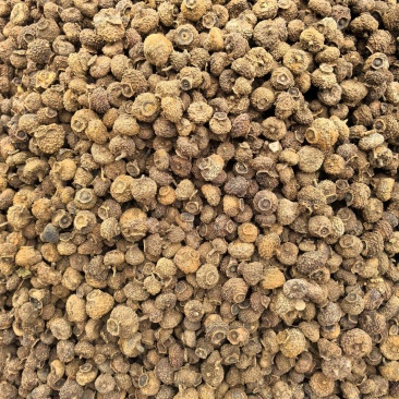 刺梨常年有货源实图拍摄物美价廉有现货