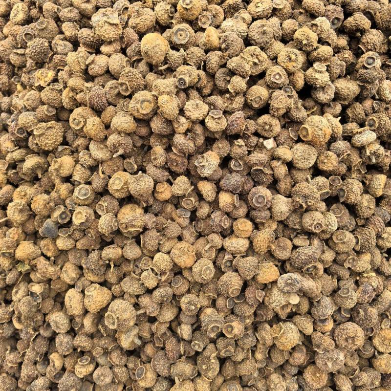 刺梨常年有货源实图拍摄物美价廉有现货