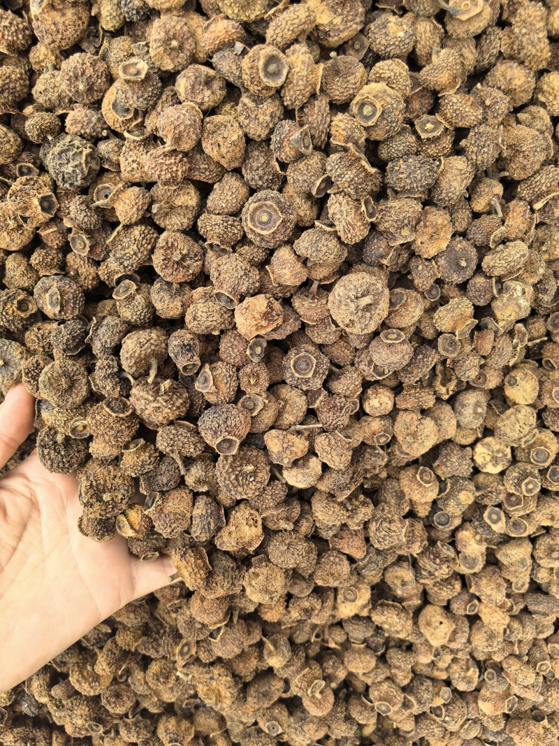 刺梨常年有货源实图拍摄物美价廉有现货