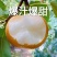 一件代发正宗秋月梨，爆汁暴甜！大果型甜梨！