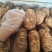 云南昭通小草坝新鲜天麻乌红杂交天麻大果中果