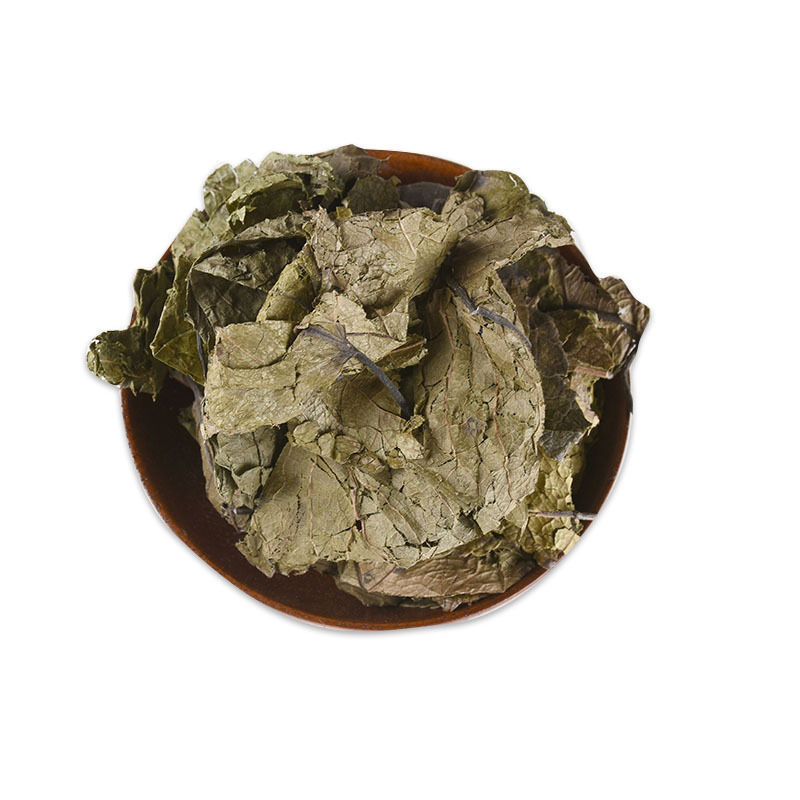 杜仲叶原叶中药材杜中叶杜仲叶子非茶叶包粉品质新