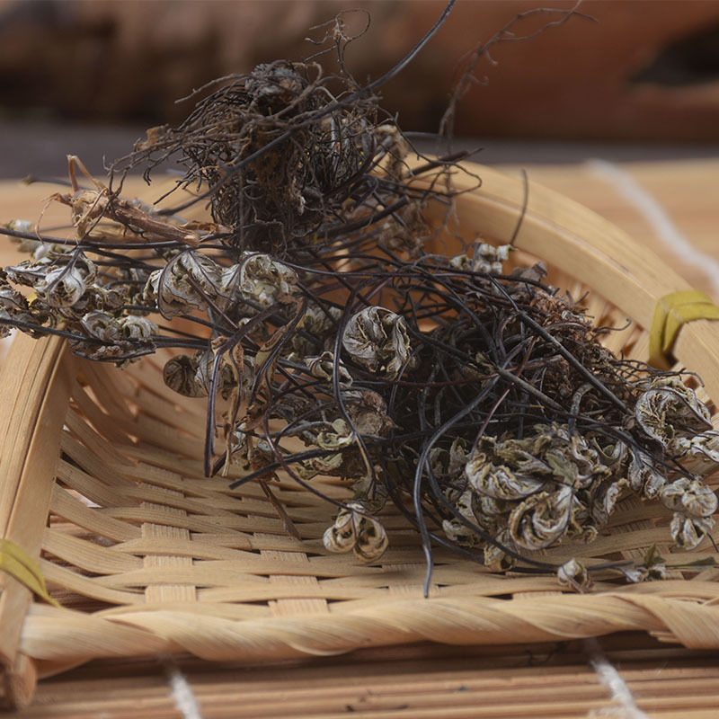 无硫中药材通经草岩飞草铜丝草止惊草银粉背蕨金线铜皮石崖新