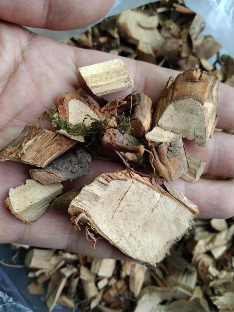 刺梨树根正宗深山刺梨根20克无硫散装中药材老树刺梨根朿莉