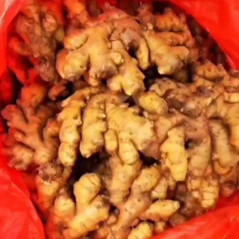 山东小黄姜产地一手货源，货源充足，保质保量，全国发货