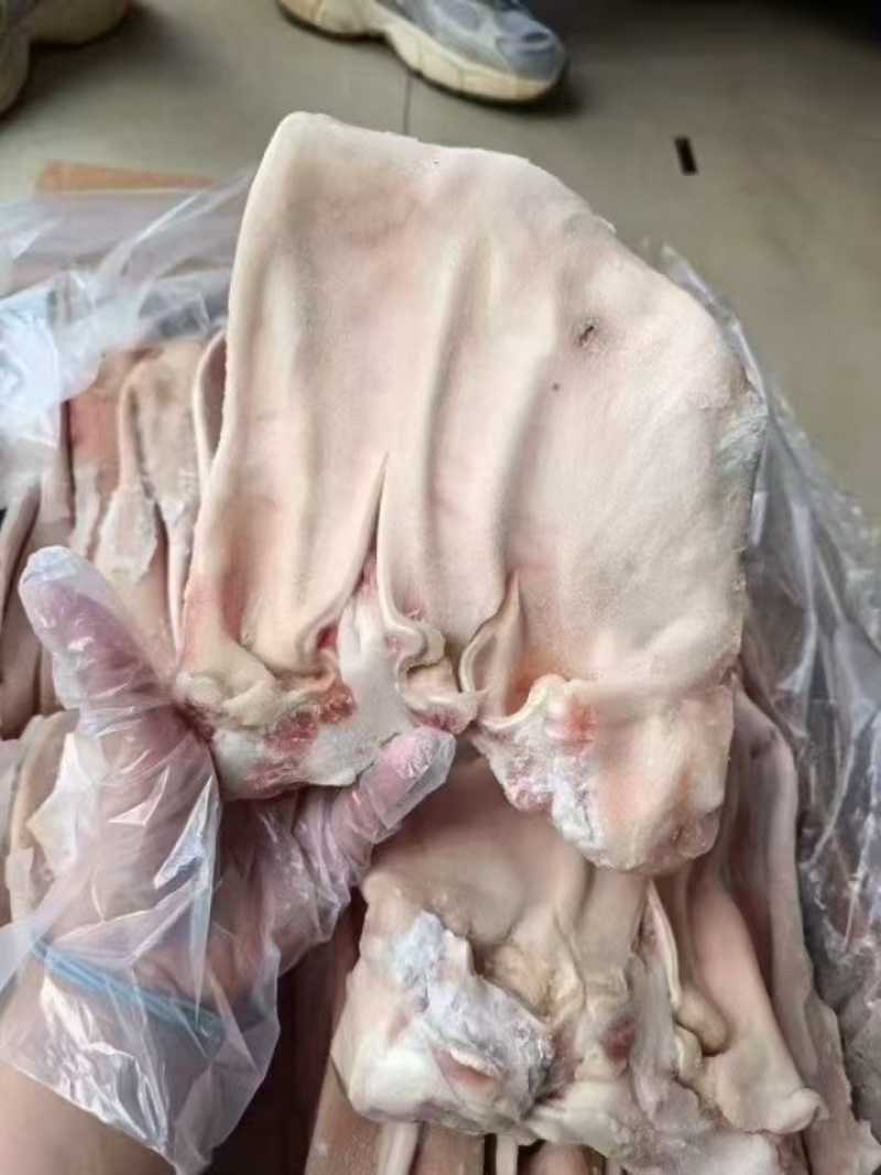小耳根纯干货猪耳，猪耳朵脆脆的，一口下去全是满足感
