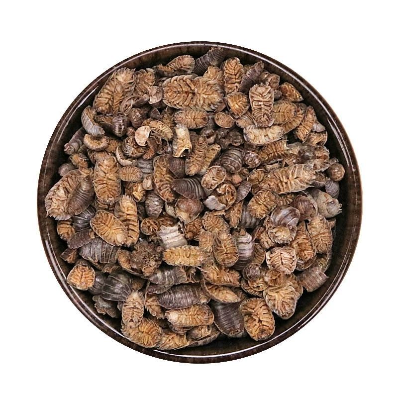 鼠妇虫中药材新货鼠妇虫干潮虫团子虫地虱婆地虱子鼠姑米汤虫