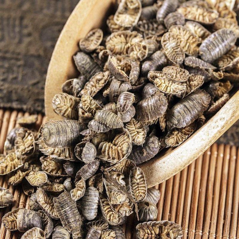 鼠妇虫中药材新货鼠妇虫干潮虫团子虫地虱婆地虱子鼠姑米汤虫