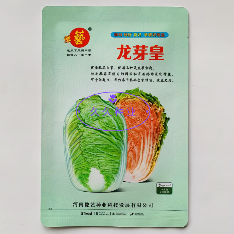 龙芽皇大白菜种子早熟桔红抗病口感优质橙色包头保健蔬菜