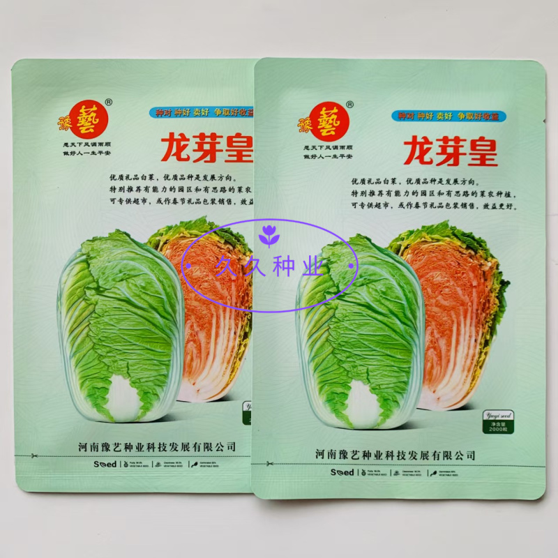 龙芽皇大白菜种子早熟桔红抗病口感优质橙色包头保健蔬菜