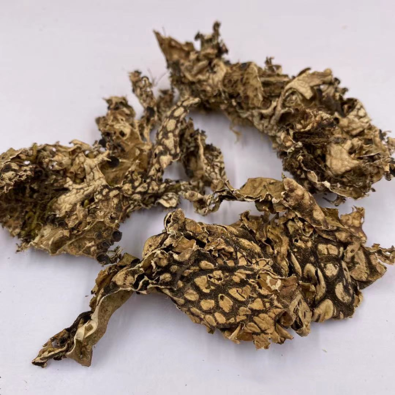 老龙皮20克石花网肺衣石龙皮石龙衣癞肚皮蛇皮苔石花中药材