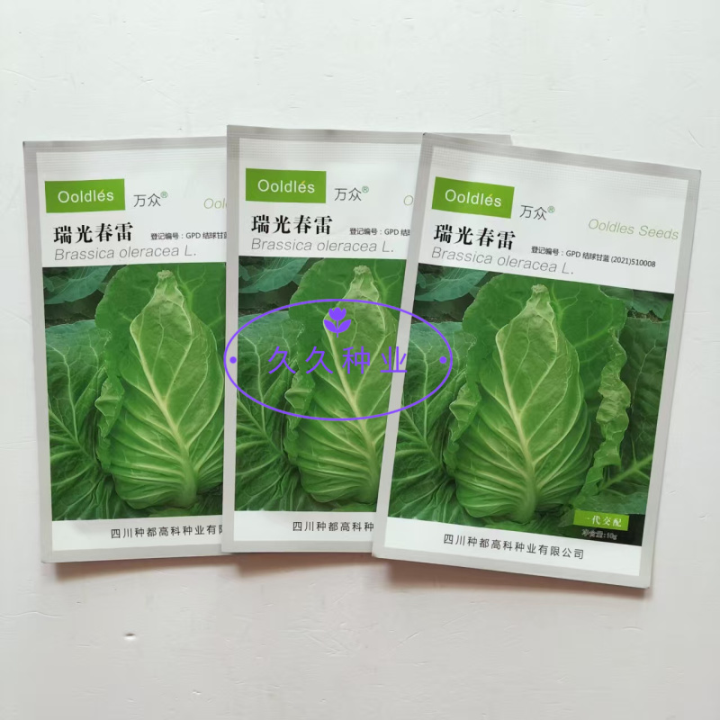 瑞光春雷牛心甘蓝种子杂交耐抽薹甜脆牛心包菜种籽高产抗病耐