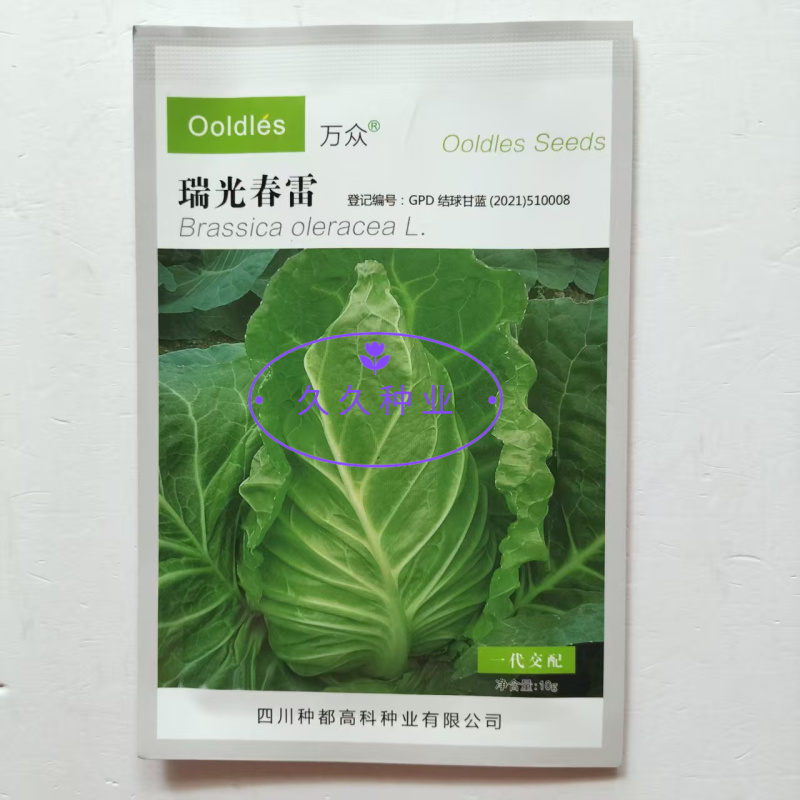 瑞光春雷牛心甘蓝种子杂交耐抽薹甜脆牛心包菜种籽高产抗病耐