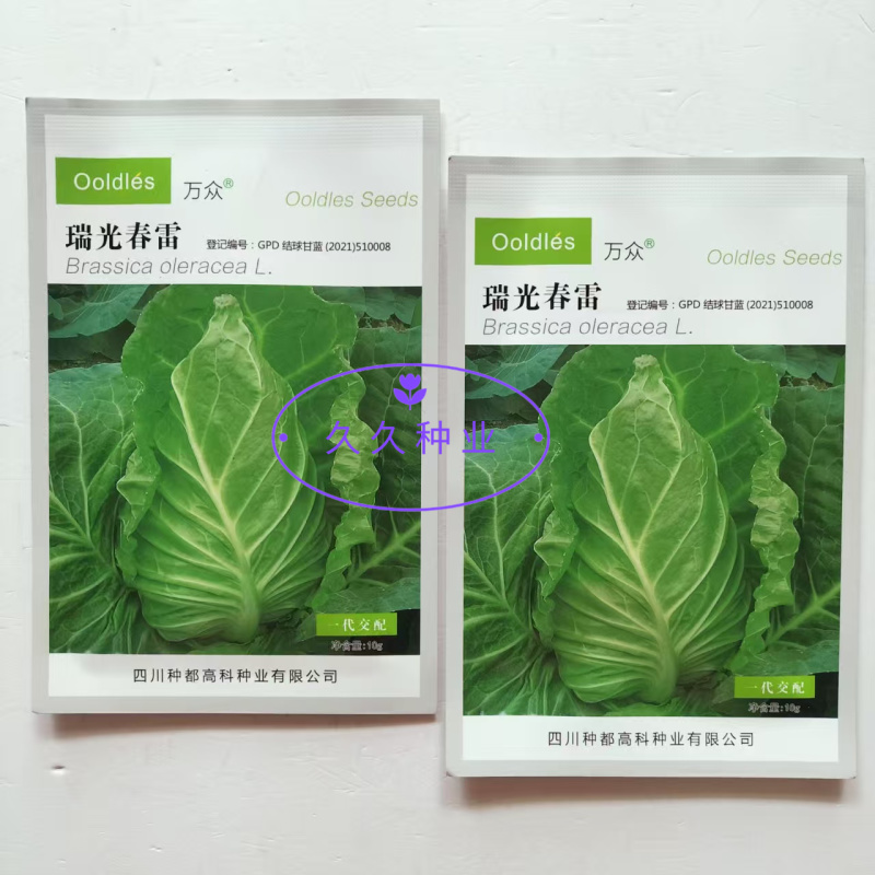 瑞光春雷牛心甘蓝种子杂交耐抽薹甜脆牛心包菜种籽高产抗病耐