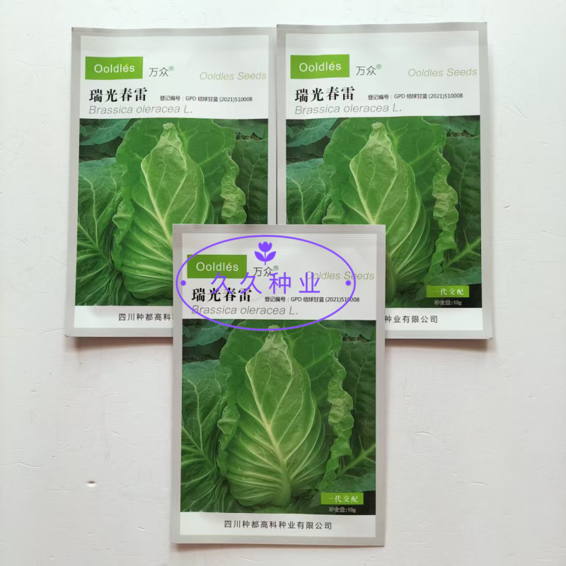 瑞光春雷牛心甘蓝种子杂交耐抽薹甜脆牛心包菜种籽高产抗病耐