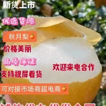 秋月梨，果肉细腻入口即化，精品礼盒，对接公司福利，电商货