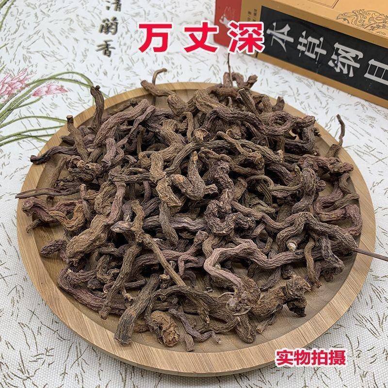 云南野生中药材万丈深正品野生万丈参还阳参马尾参