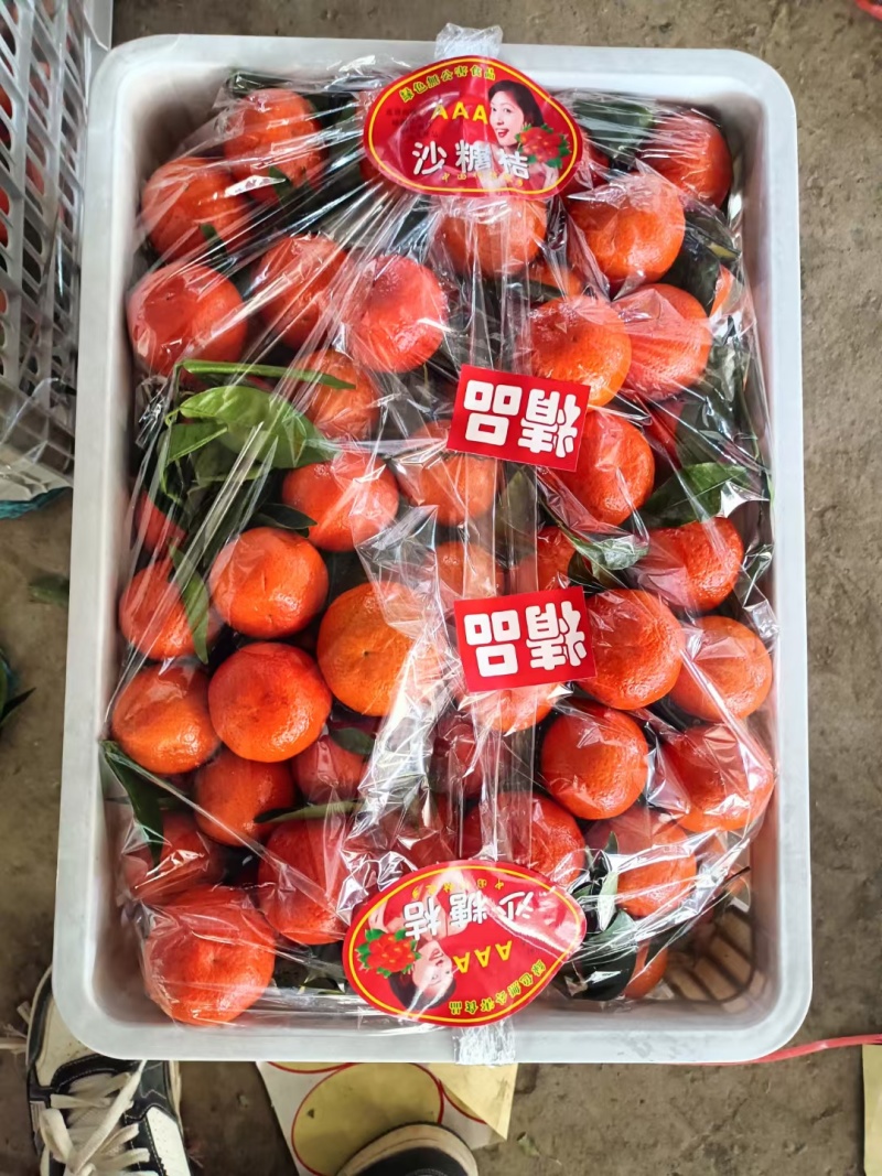 金秋砂糖橘云南产区大量上市啦，口感纯甜无酸颜色红