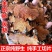 中药材菝葜金刚藤根贴棱角新鲜切片干货金刚刺金刚藤刺