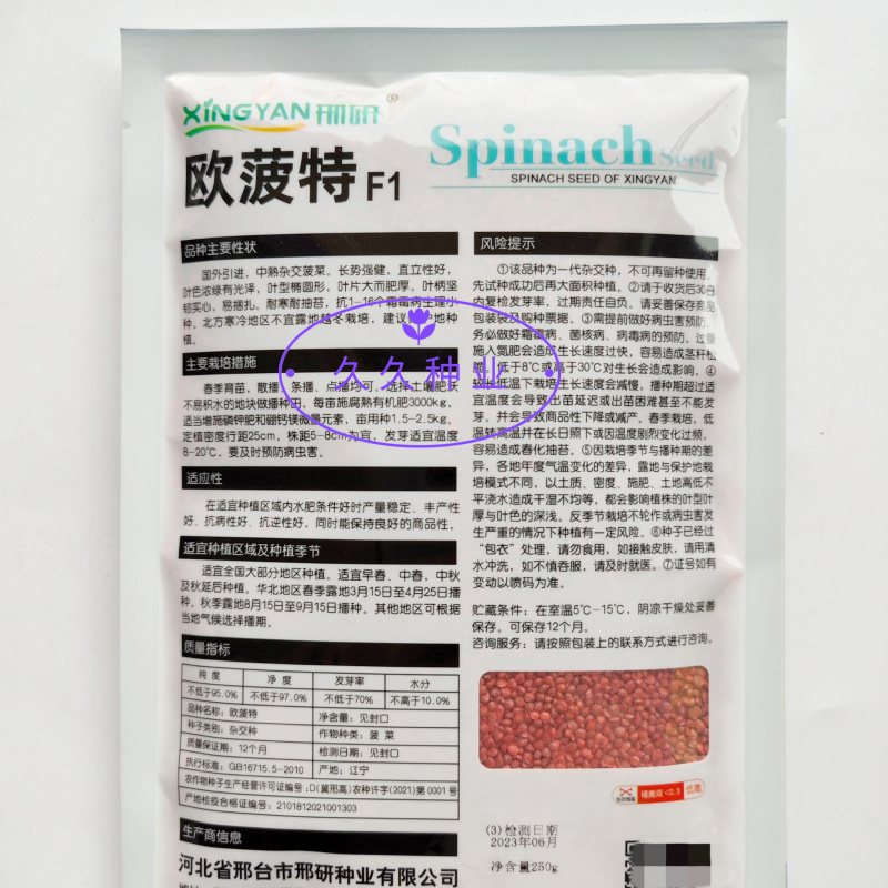邢研欧菠特菠菜种子中熟杂交大叶菠菜耐寒耐抽苔抗病春秋播易