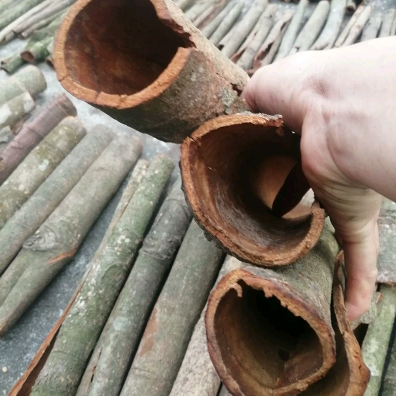 桂皮肉桂水洗中通切割干净过筛白斑少各种大小颗粒片可以定制