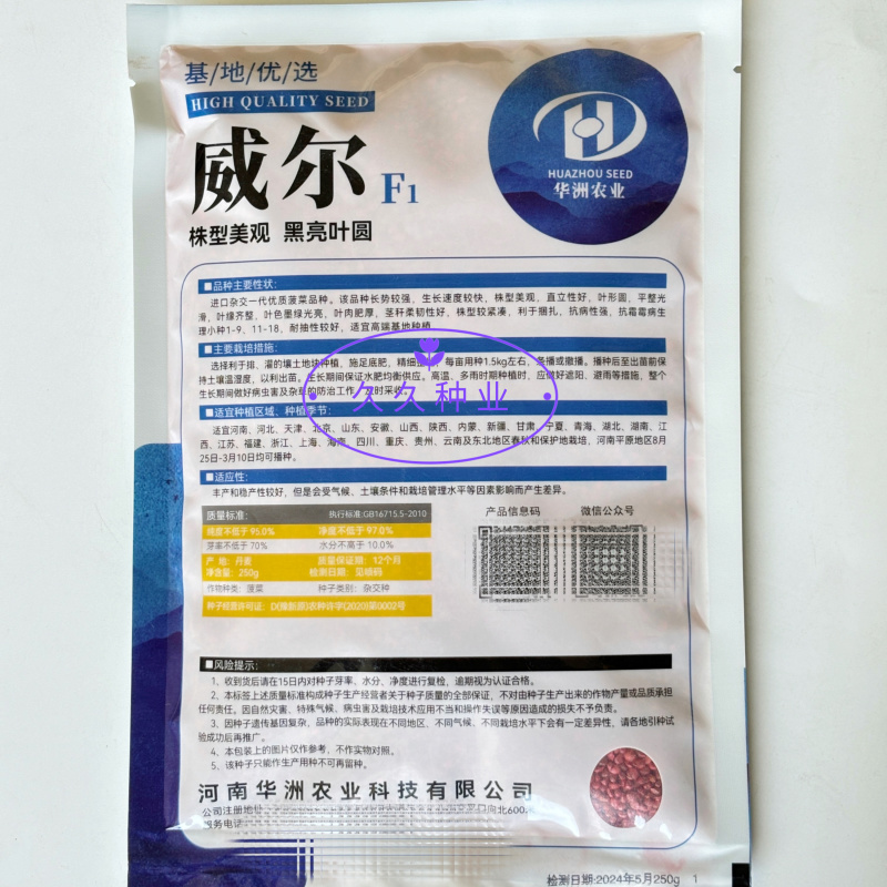 威尔直立大叶菠菜种子抗病耐热耐寒越冬盆栽四季播农家蔬菜种
