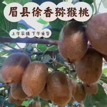 眉县猕猴桃