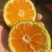 特早