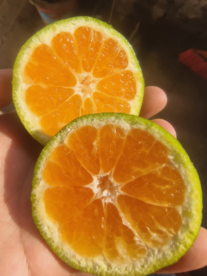 特早