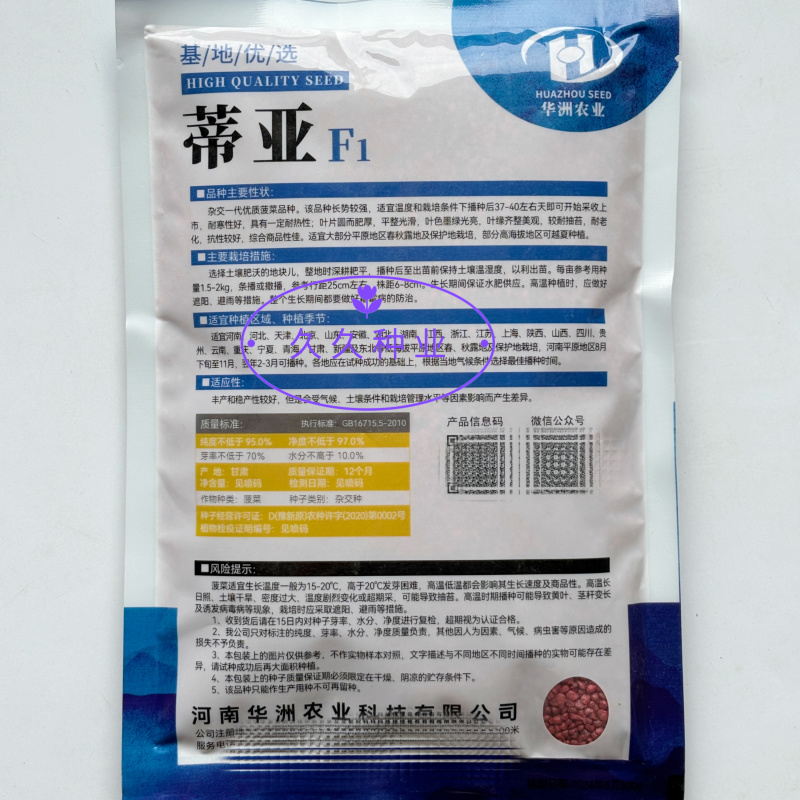 蒂亚半直立大叶菠菜种子抗病耐热耐寒越冬盆栽四季播农家蔬菜