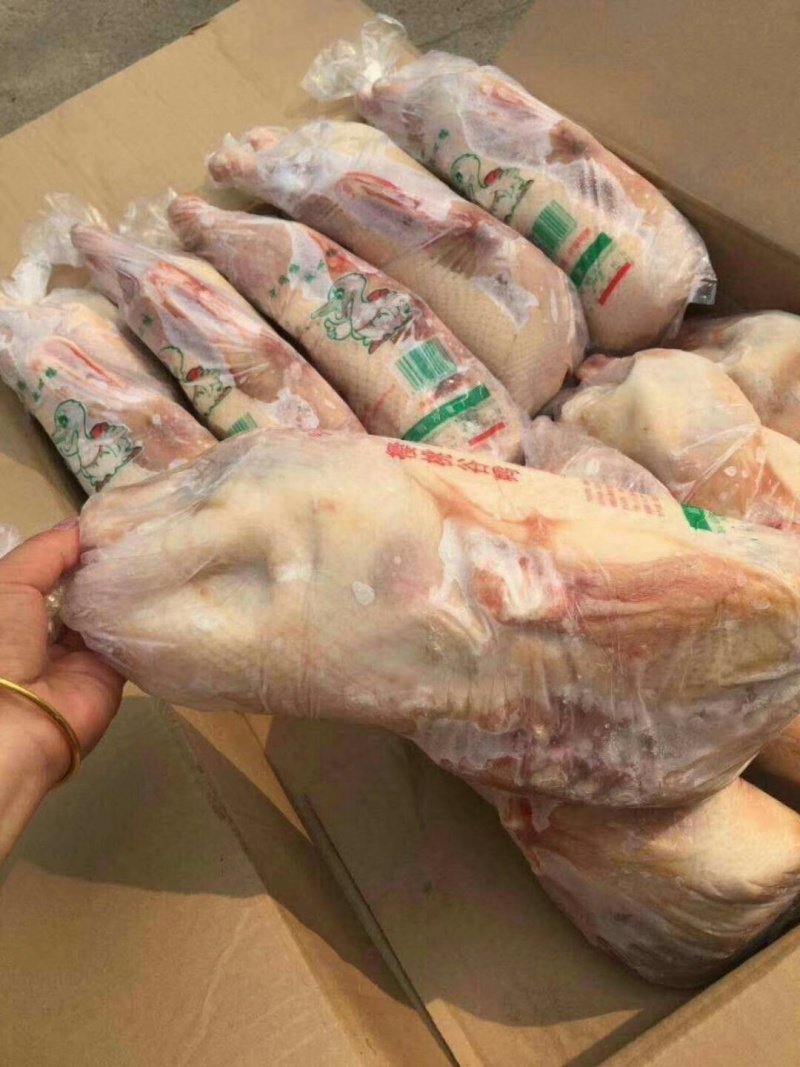 白条鸭