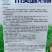 豌豆种子川美味精选粗胖无须豌豆品种主打脆鲜美味