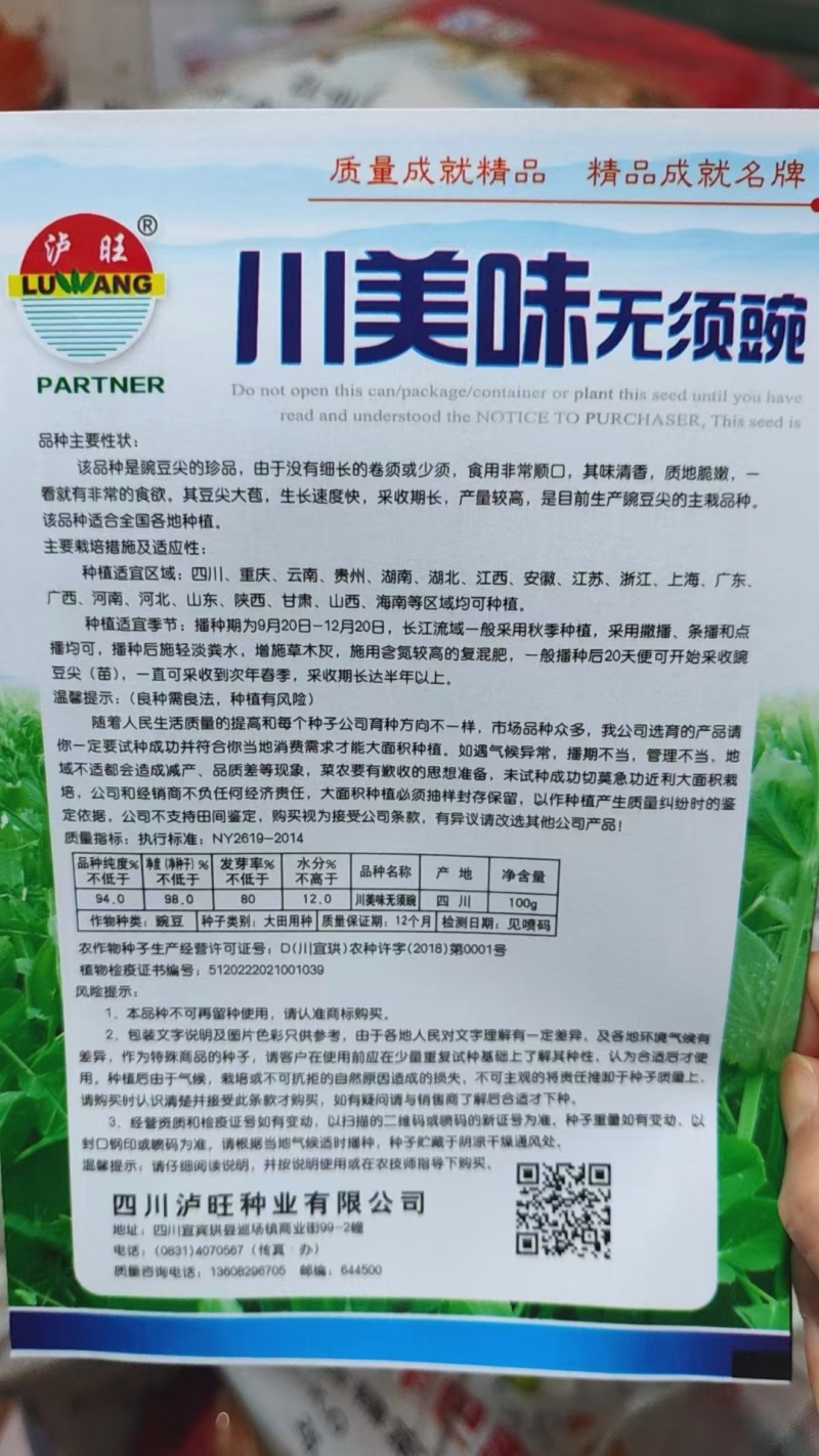 豌豆种子川美味精选粗胖无须豌豆品种主打脆鲜美味