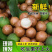 夏威夷果现摘新鲜现吃，生果青皮果