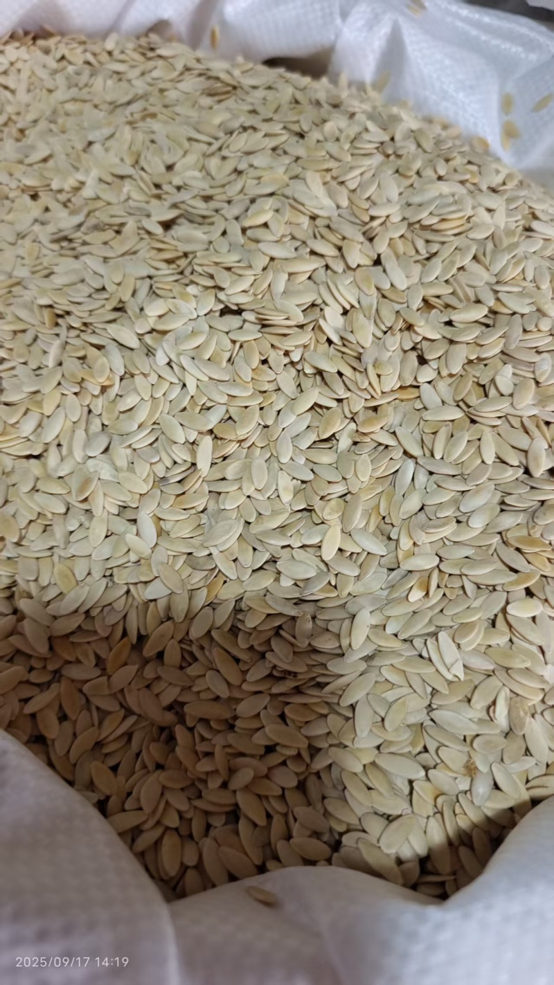 黄瓜子药食同源干货2斤包邮量大优惠