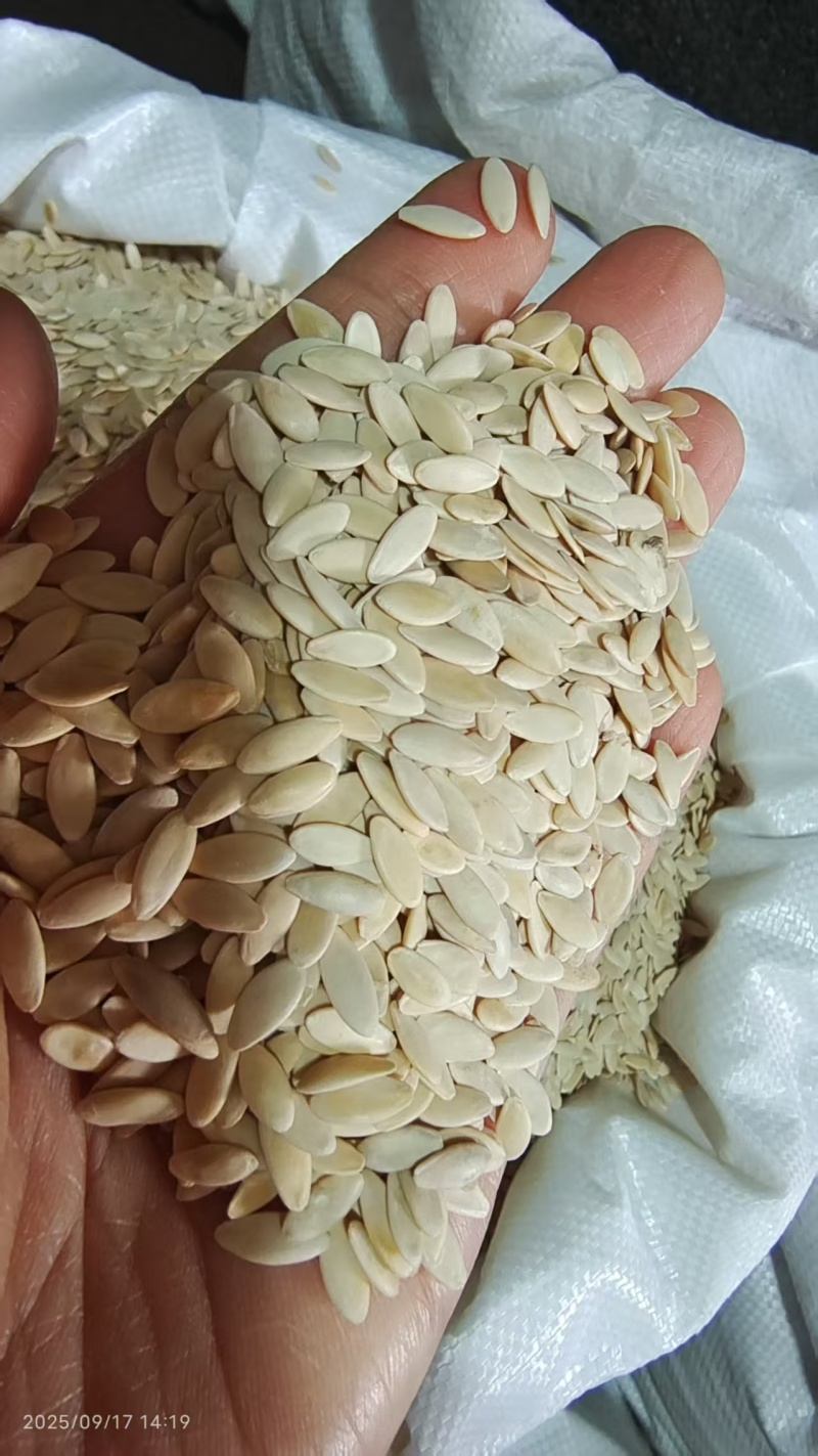 黄瓜子药食同源干货2斤包邮量大优惠