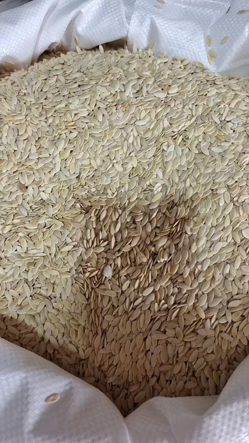 黄瓜子药食同源干货2斤包邮量大优惠