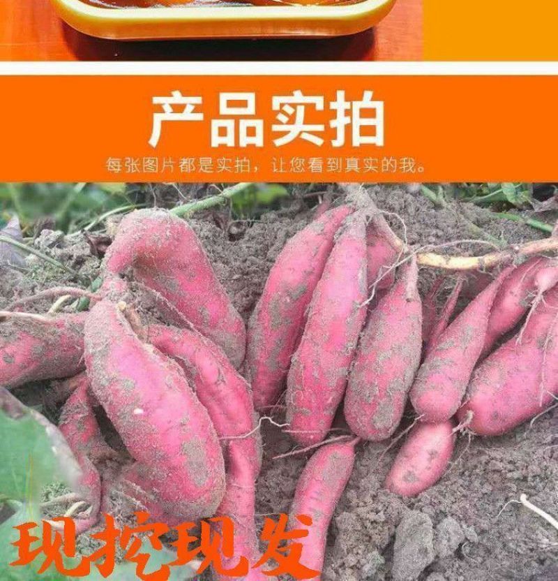 新鲜现摘薄皮微辣青椒芜湖椒虎皮椒皱皮椒尖椒新鲜蔬菜整箱批