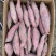 红瑶蜜薯、玛莎莉蜜薯，禾6、金海美秀，甜度高质量稳定