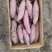 红瑶蜜薯、玛莎莉蜜薯，禾6、金海美秀，甜度高质量稳定