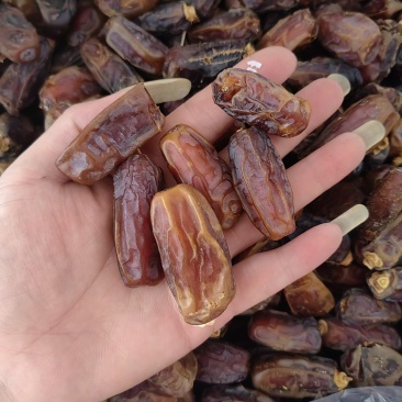原生态沙特椰枣进口椰枣干非蜜饯自然晒干奶香味干爽批发价一