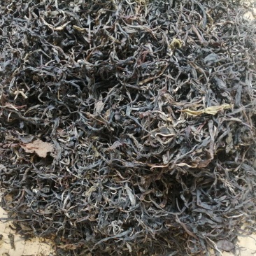 低端普洱茶