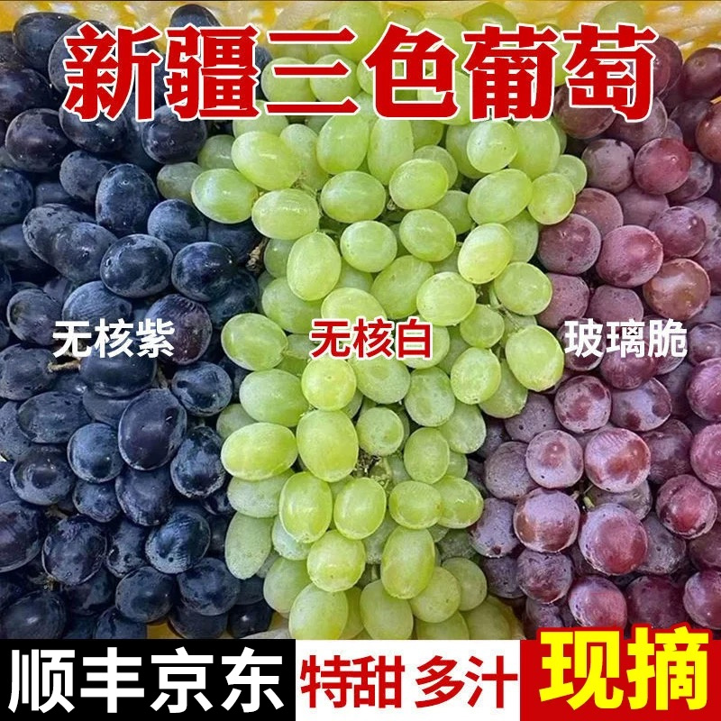 新疆吐鲁番三色葡萄玻璃翠无核白无核紫葡萄新鲜
