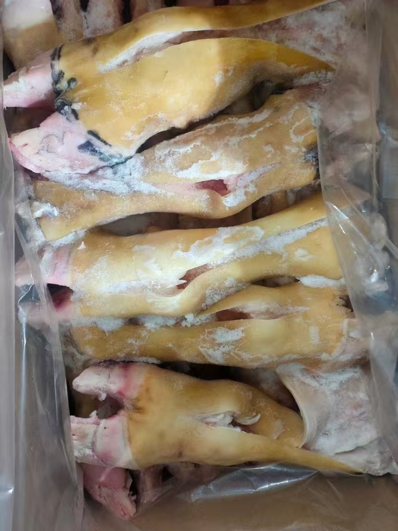 半去骨牛蹄